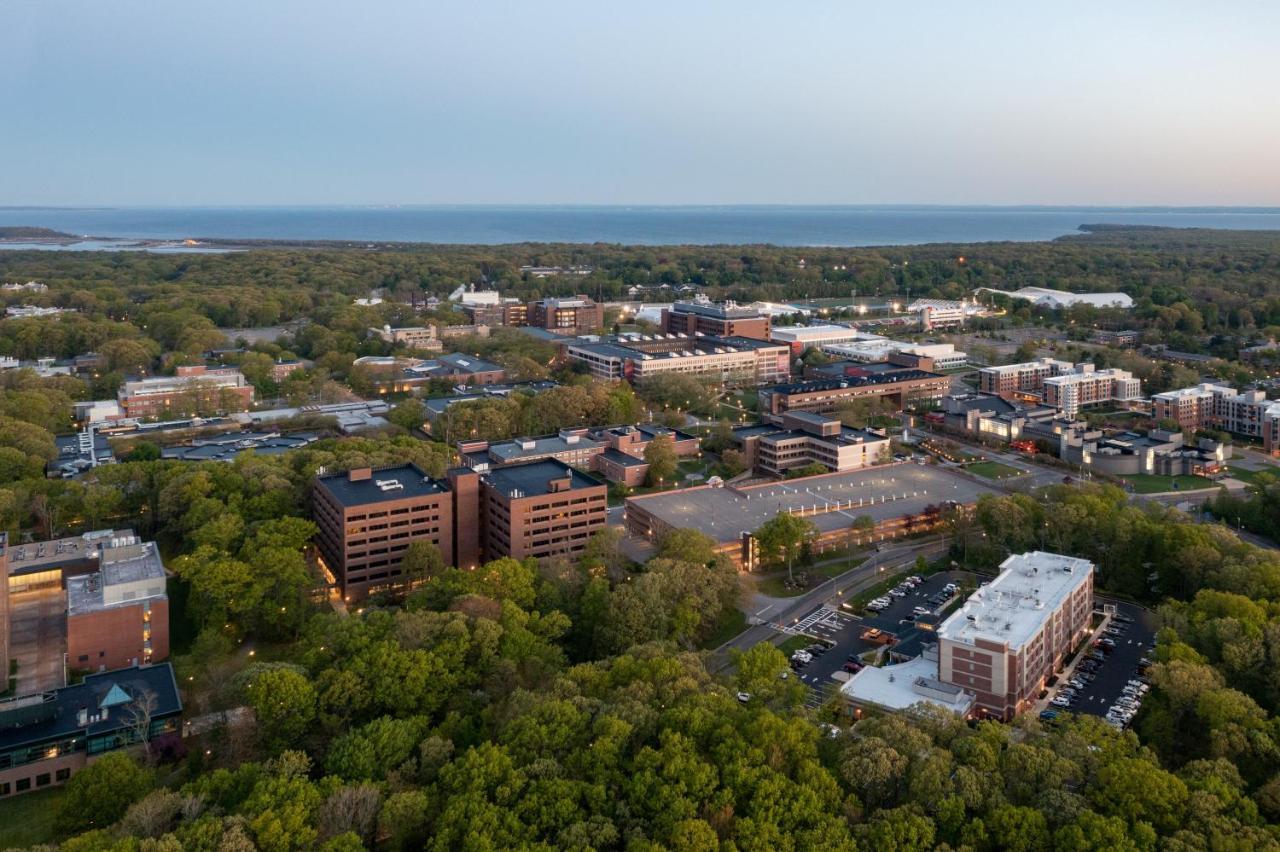 Hilton Garden